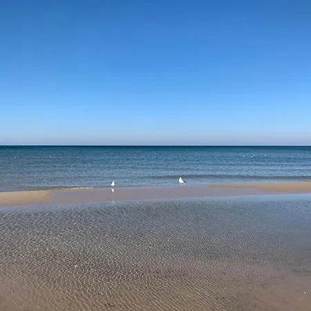 Surfnbeach By Interhome *