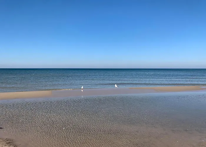 Surfnbeach By Interhome *